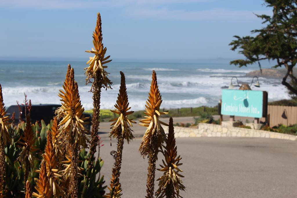 Cambria Shores Inn Dış mekan fotoğraf