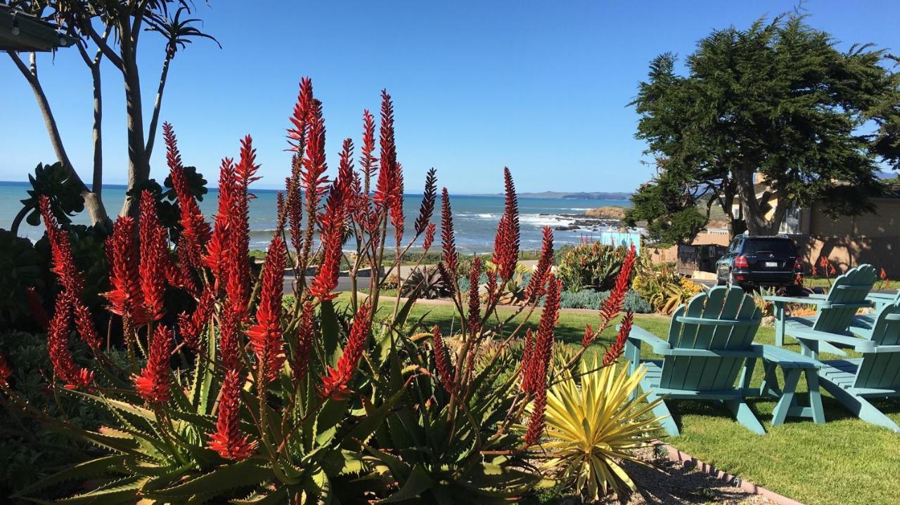 Cambria Shores Inn Dış mekan fotoğraf